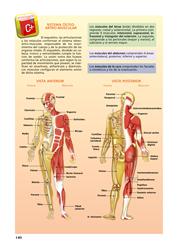 Aplicación Cuerpo Humano